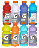 Bulk Gatorade Ready To Drink 20 Oz
