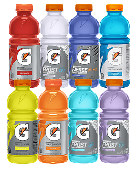 Bulk Gatorade Ready To Drink 20 Oz
